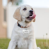 Personalized Engraved High-Quality Dog Tag Bone-Shaped Collar Pendant with Name Phone Number Custom Pet Identification Accessory
