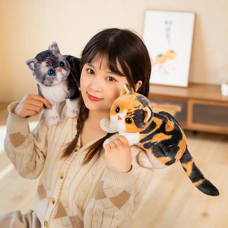 Super Likfelike Fat Face Cat Plushie Stuffed Apple Face Tiger Patterned Kitten Simulated Animals Home Decor Gift for Boy Kids