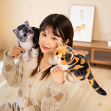 Super Likfelike Fat Face Cat Plushie Stuffed Apple Face Tiger Patterned Kitten Simulated Animals Home Decor Gift for Boy Kids