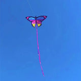 1.45m Colorful Butterfly Kite for Kids Easy to Fly Steering Flying Kites with Long Tail Outdoor Toys Perfect for Family Fun
