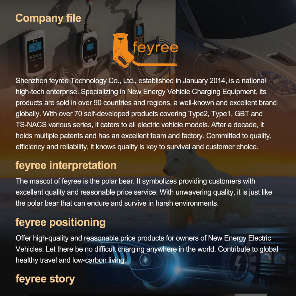 Feyree EV Charger Adapter Type2 to GB/T Converter 32A 22KW 3P for China Standard Electric Vehicle 7KW 32A 1P EV Car Connector