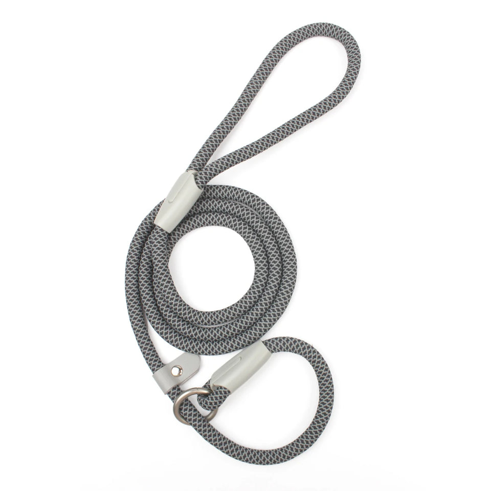 Classic Durable Dog Leashes Medium large Dog Solid Lead Rope Fashion Black Mesh Dog leash Outdoor Walking Training New Arrivals
