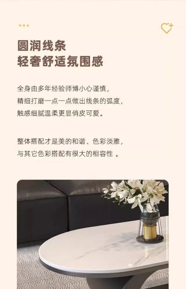Italian minimalist new rock slab coffee table living room home simple modern high-end combination light luxury oval tea table