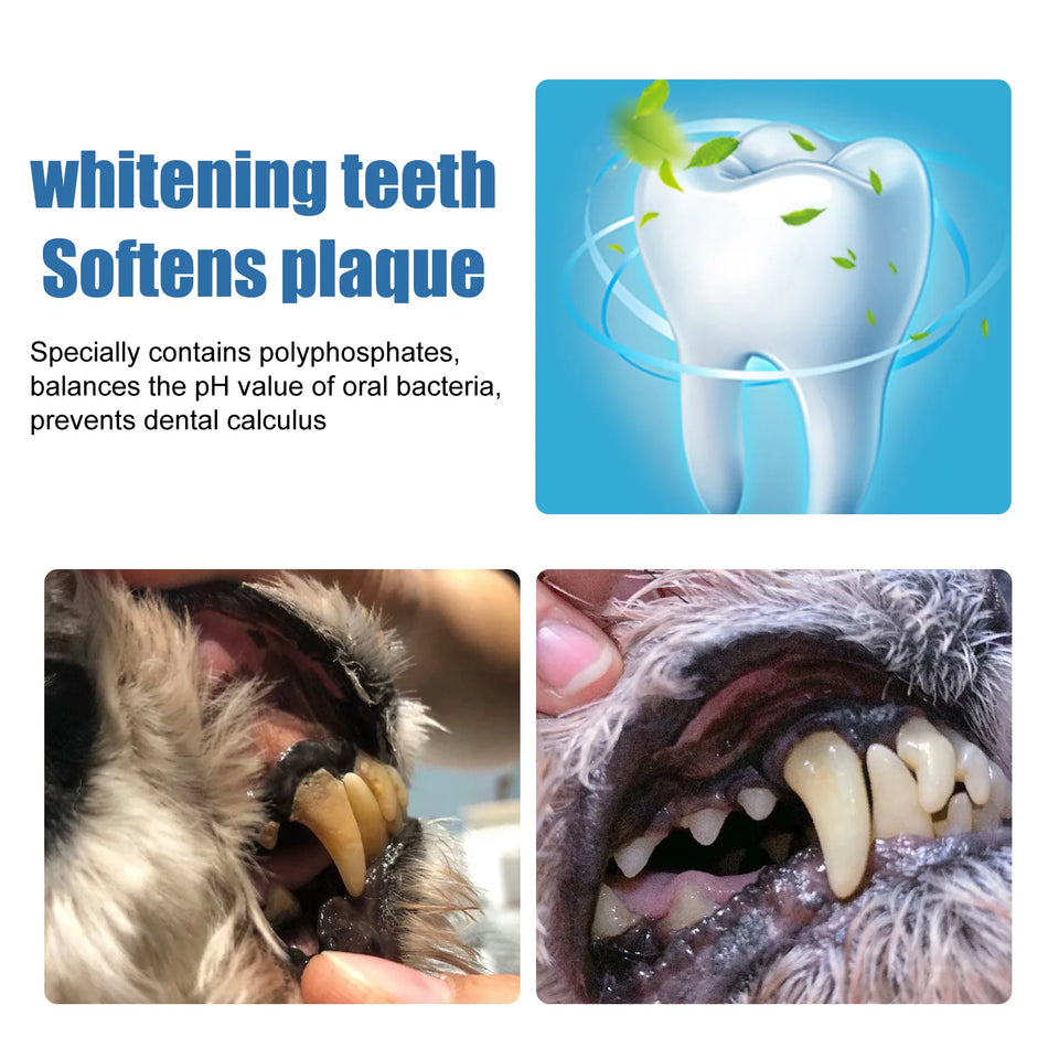 60ml Pet Tartar Remover Natural Plaques Off Tartar Remover Freshen Breath Foam For Dogs Cats Safe Effective Support Healthy Gums