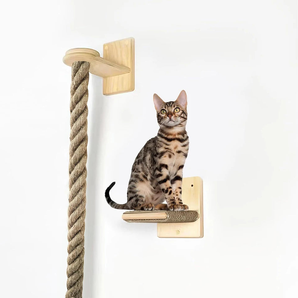 Cat Climbing Rope Wear Resist Climbing Training Rope Reusable Claw Grinding Tool for Cat Furniture Scratcher Play Equipment
