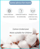 Exquisite Box Package Boys Underwear Soft Breathable Cotton Briefs For Boys Cartoon Dinosaur Kids Panties Knickers Multipack