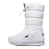 Women Snow Boots Platform Winter Boots Thick Plush Waterproof Non-slip Boots Fashion Women Winter Shoes Warm Fur Botas mujer
