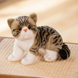 Super Likfelike Fat Face Cat Plushie Stuffed Apple Face Tiger Patterned Kitten Simulated Animals Home Decor Gift for Boy Kids