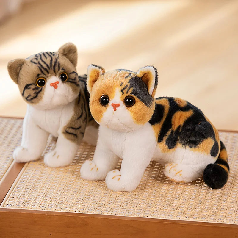 Super Likfelike Fat Face Cat Plushie Stuffed Apple Face Tiger Patterned Kitten Simulated Animals Home Decor Gift for Boy Kids