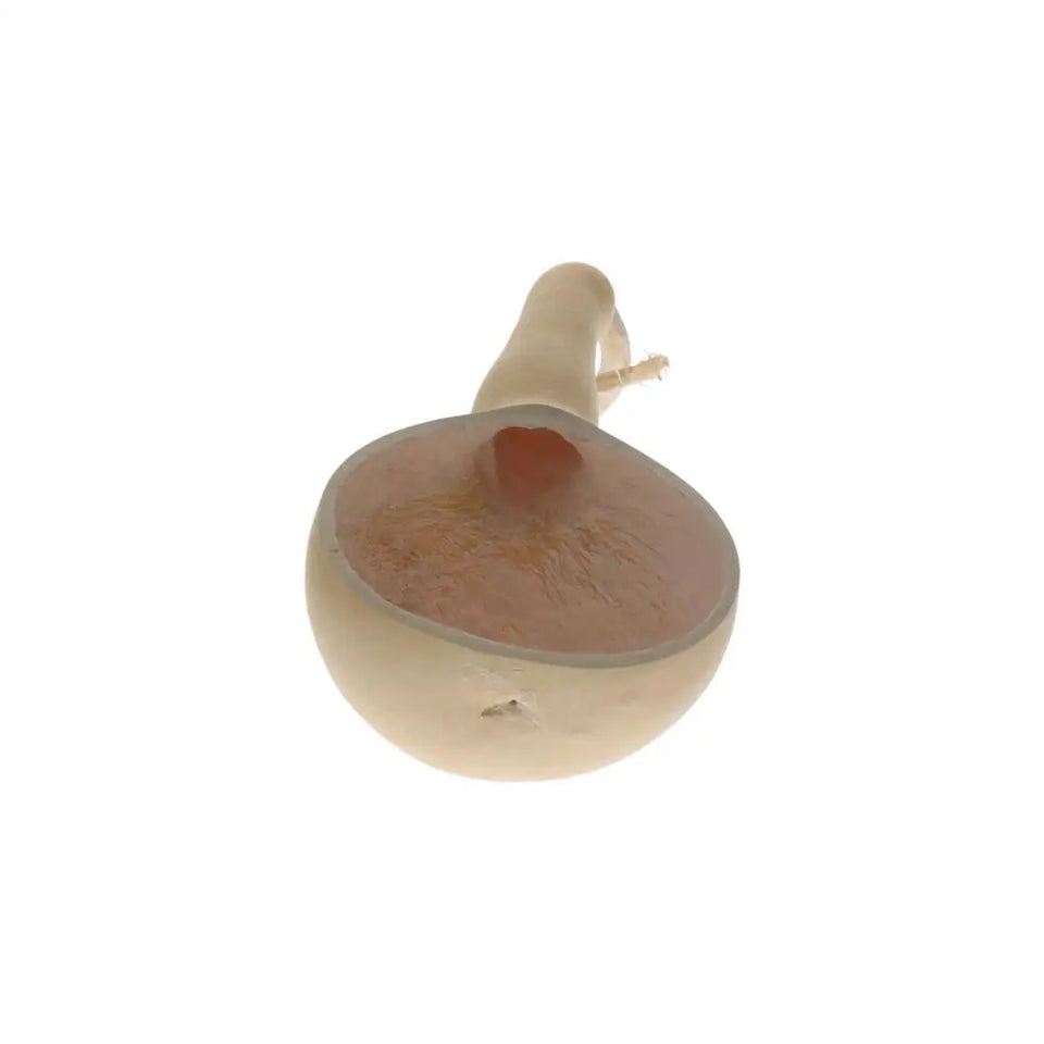 Reusable Odorless Practicality High Temperature Resistance Durable Retro Tea Leak Handmade Tea Leak Tea Set Tea Strainer