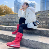 Women Snow Boots Platform Winter Boots Thick Plush Waterproof Non-slip Boots Fashion Women Winter Shoes Warm Fur Botas mujer
