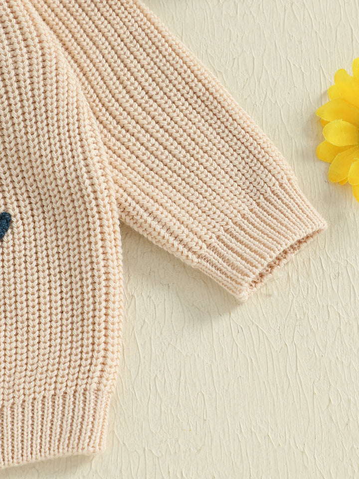 0-3T Toddler Baby Boy Girl Knit Sweater Silly Goose Embroidery Long Sleeve Knitted Sweatshirt Warm Fall Winter Clothes