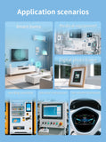 ESP32-P4 10.1 Inch Capacitive Touch Display Development Board 1280*800 IPS Screen Support Xiaozhi AI ESP32 C6 WiFi6 BT BLE 5
