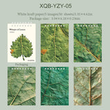 JIANWU Whisper of Leaves Series Vintage Texture Landscape Collage Scrapbook Material Paper Creative Junk Journal Stationery