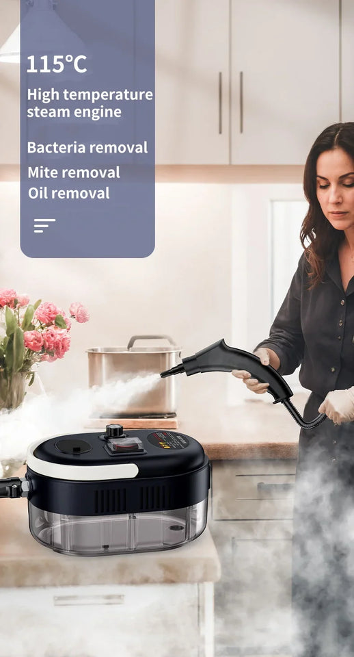 Portable Handheld Steam Cleaner High Pressure Steam Cleaning Machine for Kitchen air conditioner steam cleaner for Car 220V 110V