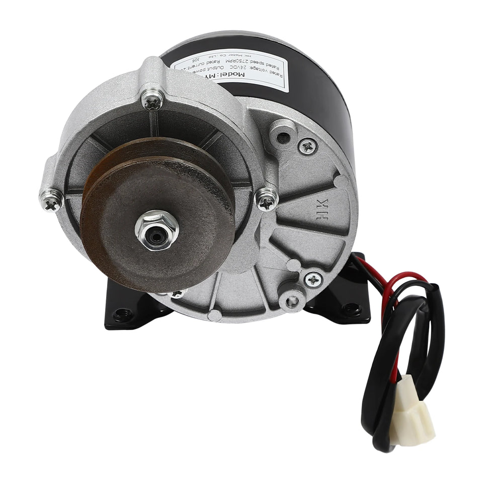 250W Brushed DC Gear Reduction Motor MY1016Z 12V/24V/36V 2750RPM 1N.m for Electric Bicycle E-Bike Scooter DIY Engine