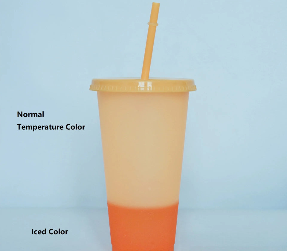 5PCS Plastic Cute Cold Cups with Lids and Straws for Iced Coffee 24 oz Color Changing Reusable for Adults Kid Women Party