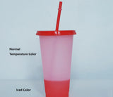 5PCS Plastic Cute Cold Cups with Lids and Straws for Iced Coffee 24 oz Color Changing Reusable for Adults Kid Women Party