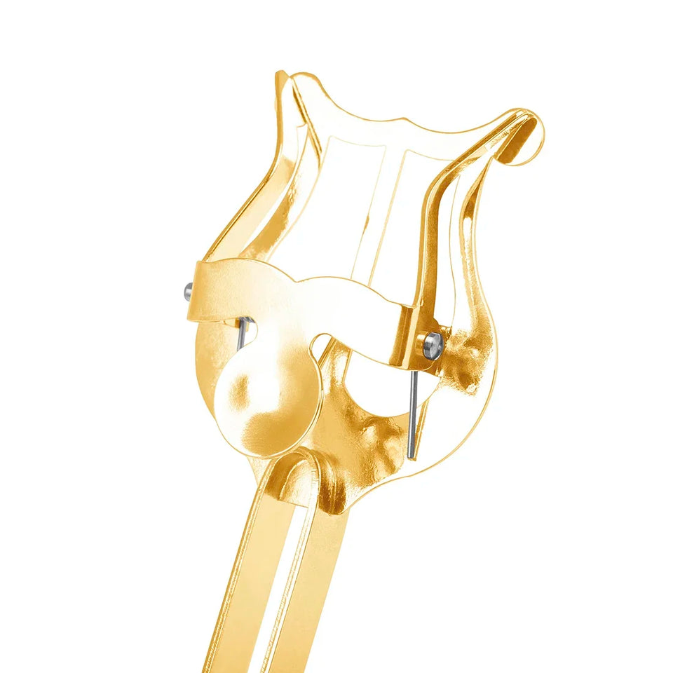 Music Stands Trumpet Flute Winds Alto Saxophone Portable Marching Sheet Golden Music Stands Musical Instruments Accessory