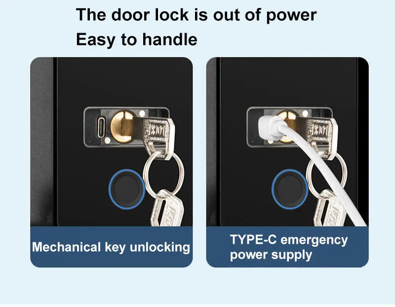 Bluetooth Electronic Glass LOCK Fingerprint Recognition Smart Lock Tuya APP Rfid Card Biometric Unlock for Glass Door Lock
