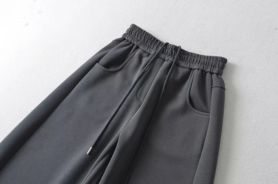 Street Sle High Waist Wide Leg Sport Pants Women's Casual Loose Straight Leg Trousers Coffee Color Trendy Spring Autumn