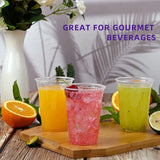 16oz Clear Plastic Cup with  Lid,20Sets Disposable Coffee Cup,Disposable Cups,Disposable Tableware for Party &TakeawayDrink,