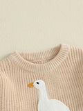 0-3T Toddler Baby Boy Girl Knit Sweater Silly Goose Embroidery Long Sleeve Knitted Sweatshirt Warm Fall Winter Clothes