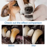 60ml Pet Tartar Remover Natural Plaques Off Tartar Remover Freshen Breath Foam For Dogs Cats Safe Effective Support Healthy Gums