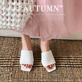 Summer Sandals Women Concise Style Slippers Weave Sandals for Girls Sexy Kitten Heel Elegant Dress Party Wedding  Sandalias