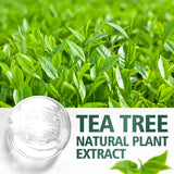 Tea tree essential oil, extracted from natural plants, is suitable for body massage and hair care, nourishing and moisturizing.