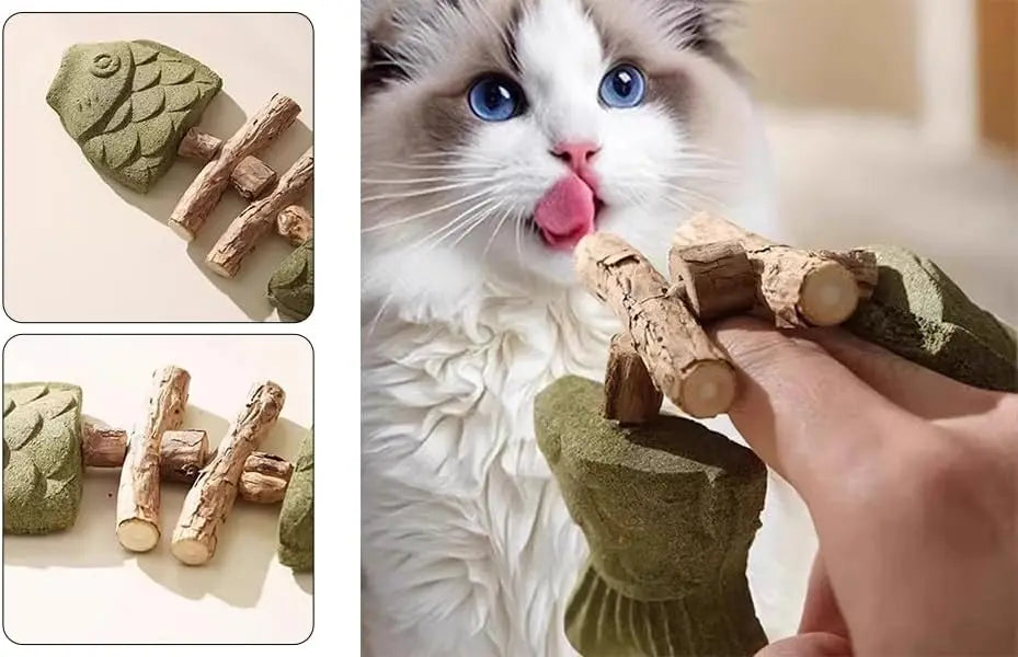 Dental Health Chew Toy for Cats - Bite-Resistant Fishbone Toy with Catnip & Silvervine for Teeth Cleaning, Interactive Play & Or