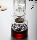 Cold Brew Coffee Pot Set with Filter Glass Dripper ICED Coffee Pot Maker High Quality Specialized Barista Accessories Espresso