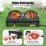 Portable Double Burner Outdoor Gas Stove Propane Cooker with Adjustable 0-10Psi Regulator Hose for Patio Camping, BBQ, Home