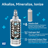 ALTHY Alkaline Water Filter Bottle, Up to PH 9.5, Added Minerals & Electrolytes, Composite Alkalize & Filtration System,BPA Free