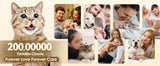 Stainless Steel Cat Water Fountain Automatic Cat Drinker Drinking Fountain For Cats Dogs Pet Water Dispenser Accessories
