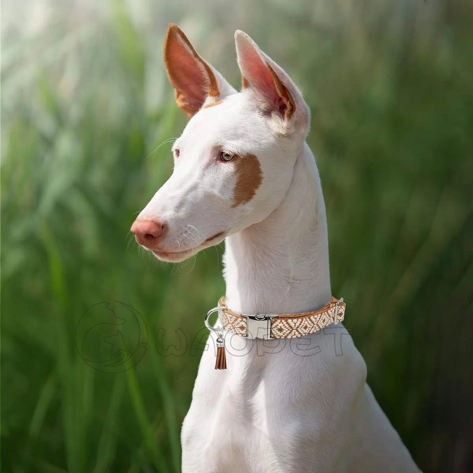 Bohemian Ethnic Style Pet Collars For Small Medium And Large Dogs Multi-colors Choose Adjustable Luxurious Trend New Arrivals