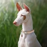 Bohemian Ethnic Style Pet Collars For Small Medium And Large Dogs Multi-colors Choose Adjustable Luxurious Trend New Arrivals