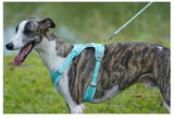 Classic Durable Dog Leashes Medium large Dog Solid Lead Rope Fashion Black Mesh Dog leash Outdoor Walking Training New Arrivals