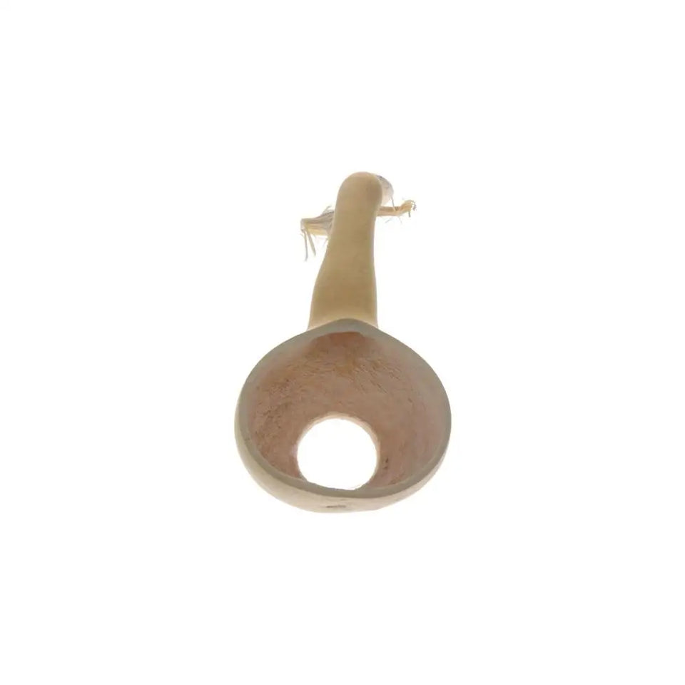 Reusable Odorless Practicality High Temperature Resistance Durable Retro Tea Leak Handmade Tea Leak Tea Set Tea Strainer