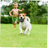 Puppy Teeth Training Toy Durable Dog Chew Wheel Interactive Sound Toy Chew-Resistant for Small Medium Dogs Pet Supplies