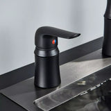 Matte Black Kitchen Sink Faucet with Pull Down Sprayer 1 Handle 2 Hole Mixer Tap Hot and Cold Taps
