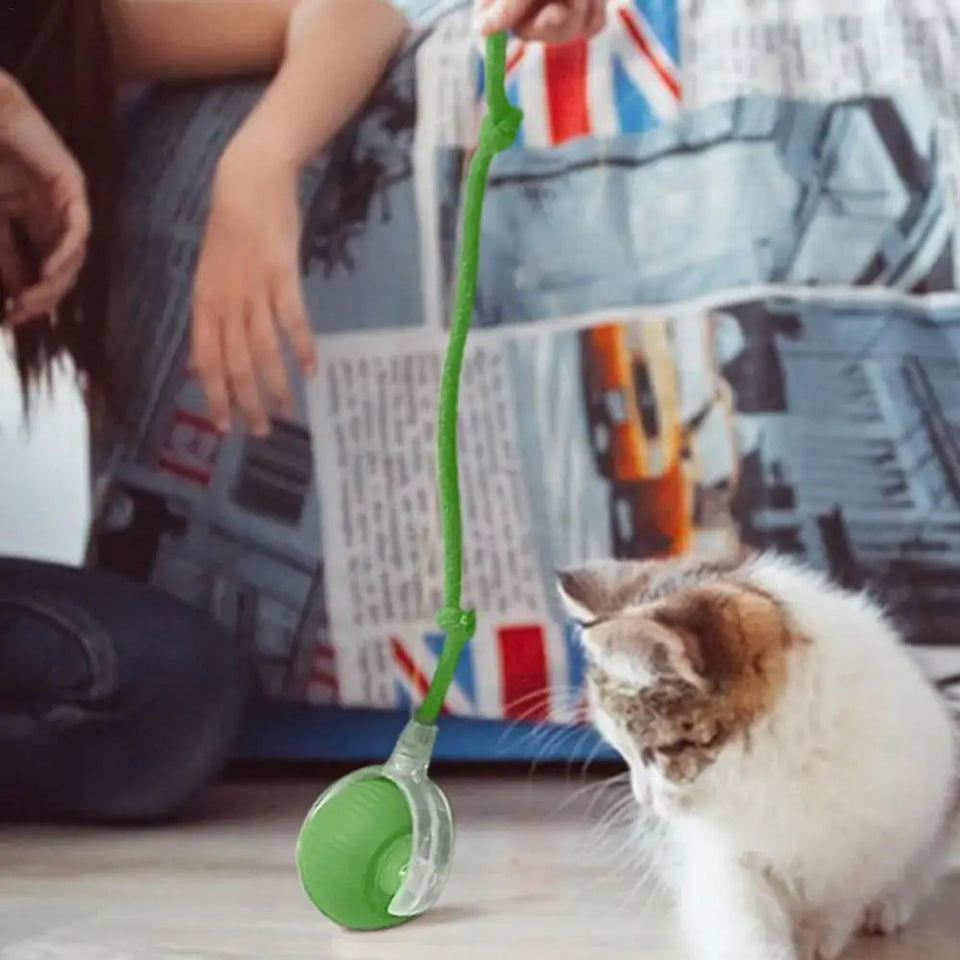 Automatic Interactive Cat Ball Toy Rechargeable Smart Electric Rolling Ball with Faux Tail Mouse Imitation for Dog Cat Training