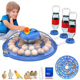 26-52 Eggs Automatic Incubator，Upgrade Automatic Water Adding，360 Degree View，incubators for hatching eggs，Without Install