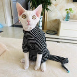 Four Legged Striped Shirt Hat Tail Cover Suit for Sphynx Cat Spring Black Sweatshirt for Kittens Hairless Warm Autumn Costumes
