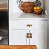 Antique Brass Cabinet Knobs Drawer Handles Zinc Alloy Pulls Mid-Century Modern Hardware for Kitchen and Bathroom Cupboard