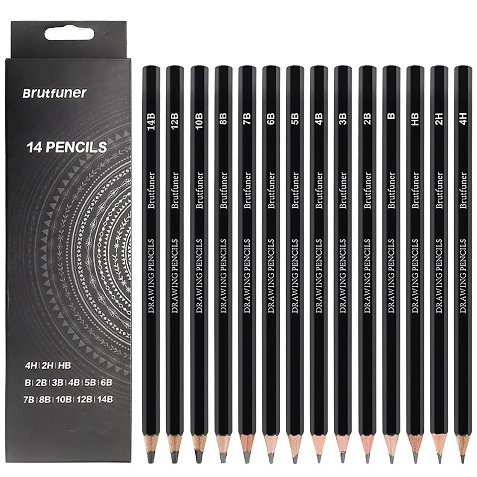 6/29 pcs Pro Sketching Drawing Pencils Set with Roll-Up Nylon Case,14 Graphite Pencils (14B-5H), Charcoal Pencils,Erasers