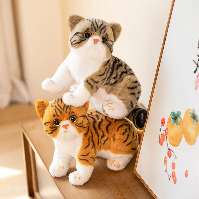 Super Likfelike Fat Face Cat Plushie Stuffed Apple Face Tiger Patterned Kitten Simulated Animals Home Decor Gift for Boy Kids