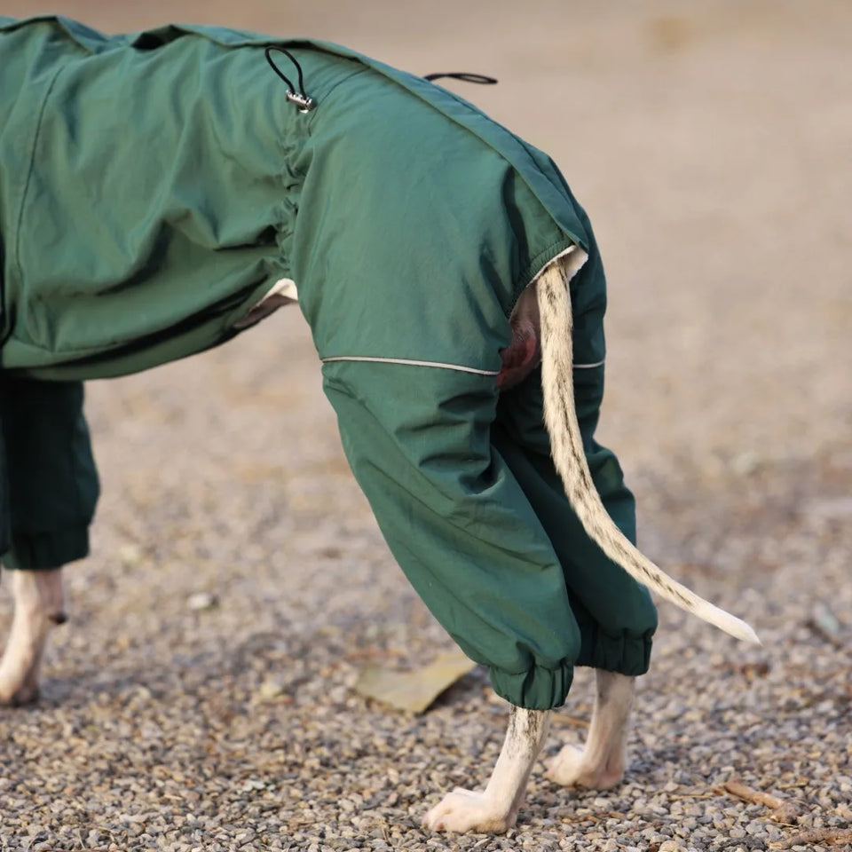 Winter 4-legged Windproof Cotton Jacket for Italian Greyhound Warm High Neck Adjustable Sweatshirt for Whippet Greyhound to 25KG