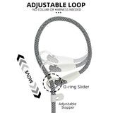 Classic Durable Dog Leashes Medium large Dog Solid Lead Rope Fashion Black Mesh Dog leash Outdoor Walking Training New Arrivals