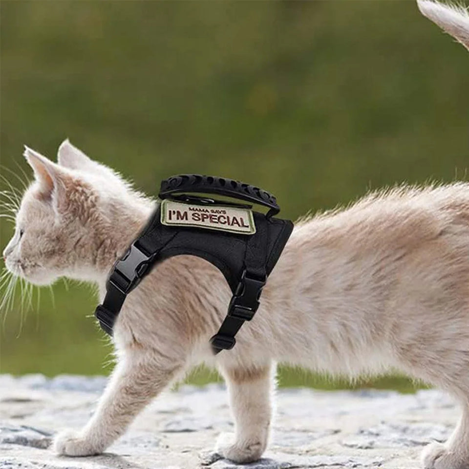 Tactical Cat Harness Leash Set Escape Proof Breathable Military Vest and Velcro for Small Dog Kittens Puppies Walking & Training